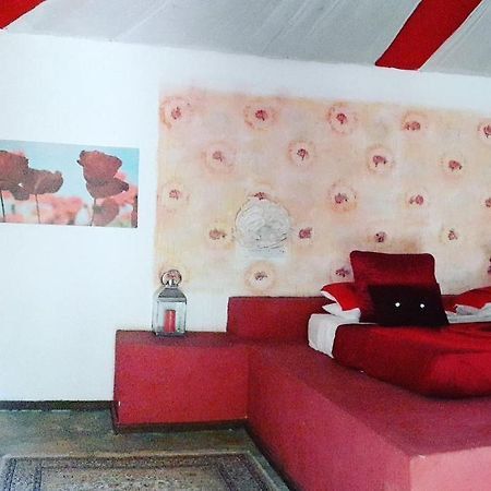 Gecko Nature Lodge Home Of Swahili Divers The Best Dive Center And Famous Gecko Restaurant Verani Eksteriør bilde