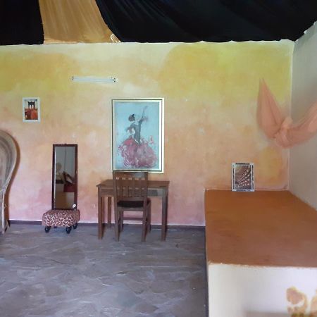 Gecko Nature Lodge Home Of Swahili Divers The Best Dive Center And Famous Gecko Restaurant Verani Eksteriør bilde