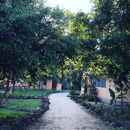 Gecko Nature Lodge Home Of Swahili Divers The Best Dive Center And Famous Gecko Restaurant Verani Eksteriør bilde