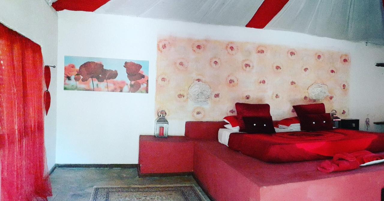 Gecko Nature Lodge Home Of Swahili Divers The Best Dive Center And Famous Gecko Restaurant Verani Eksteriør bilde