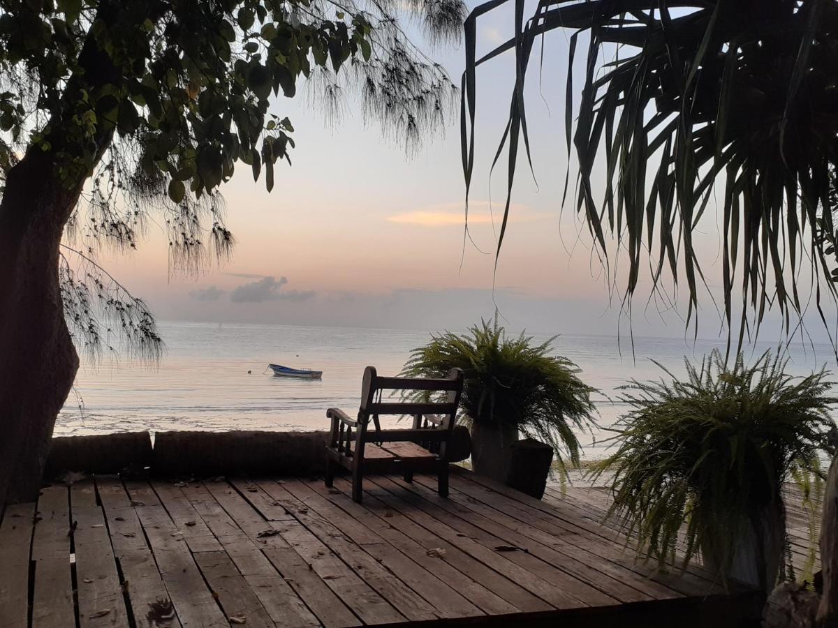 Gecko Nature Lodge Home Of Swahili Divers The Best Dive Center And Famous Gecko Restaurant Verani Eksteriør bilde