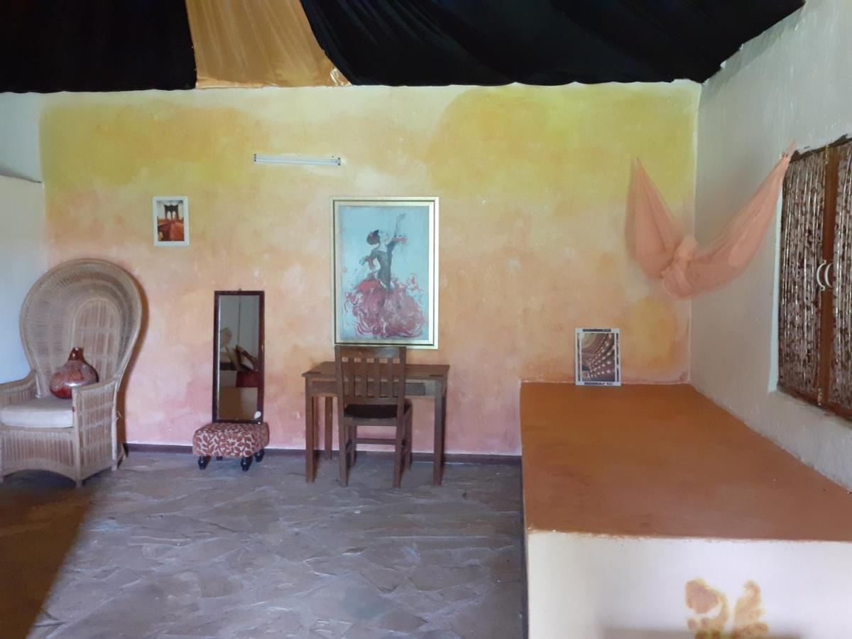 Gecko Nature Lodge Home Of Swahili Divers The Best Dive Center And Famous Gecko Restaurant Verani Eksteriør bilde