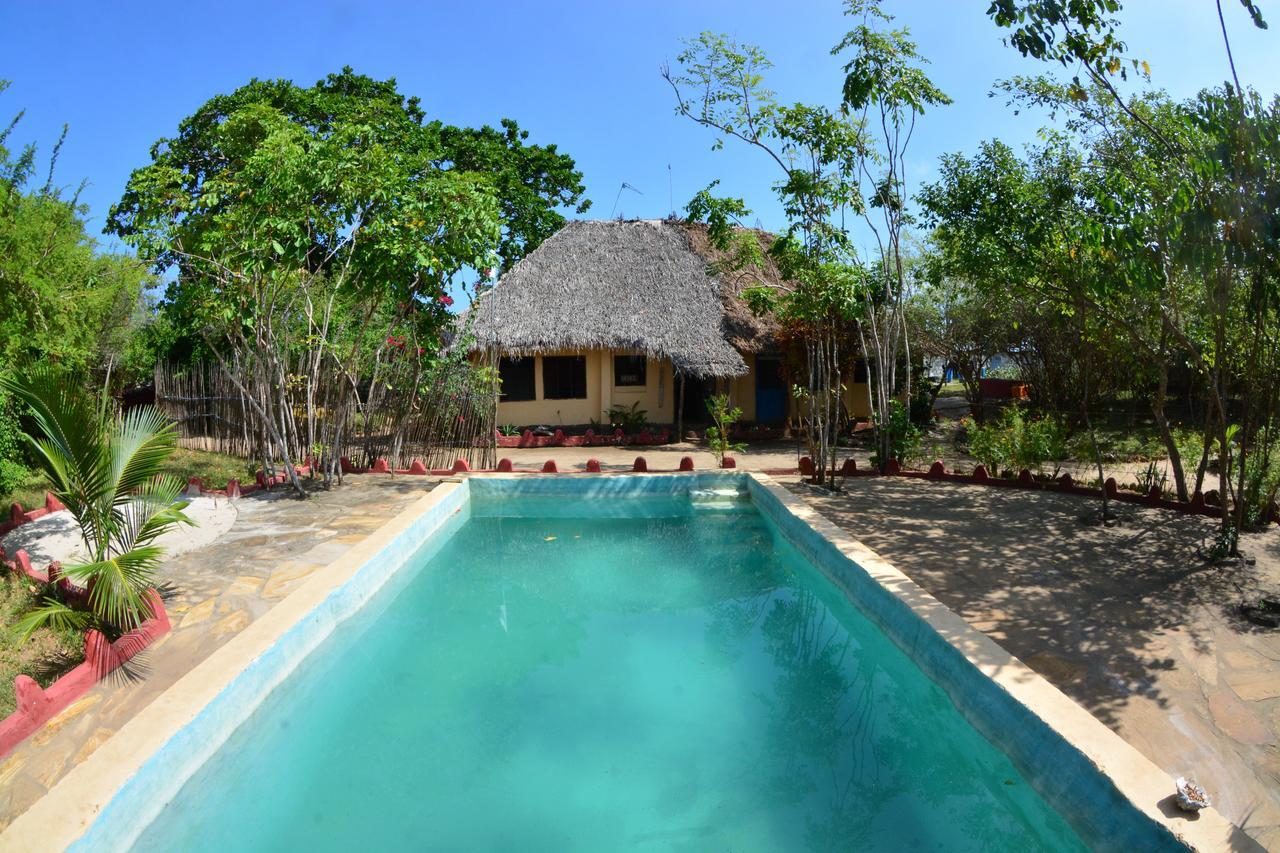 Gecko Nature Lodge Home Of Swahili Divers The Best Dive Center And Famous Gecko Restaurant Verani Eksteriør bilde