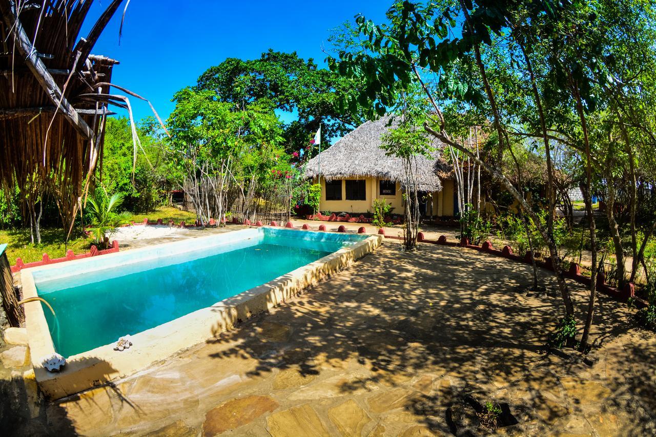 Gecko Nature Lodge Home Of Swahili Divers The Best Dive Center And Famous Gecko Restaurant Verani Eksteriør bilde