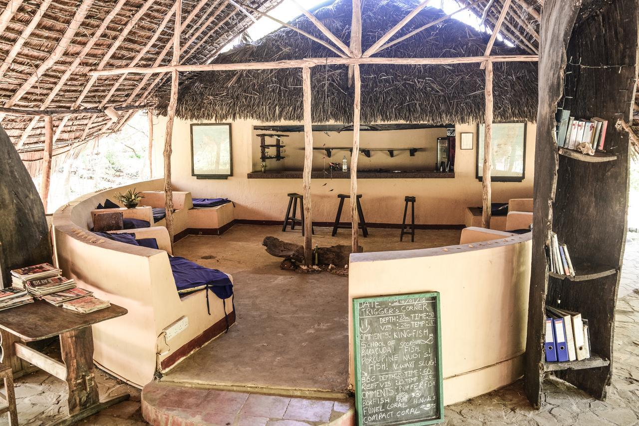 Gecko Nature Lodge Home Of Swahili Divers The Best Dive Center And Famous Gecko Restaurant Verani Eksteriør bilde