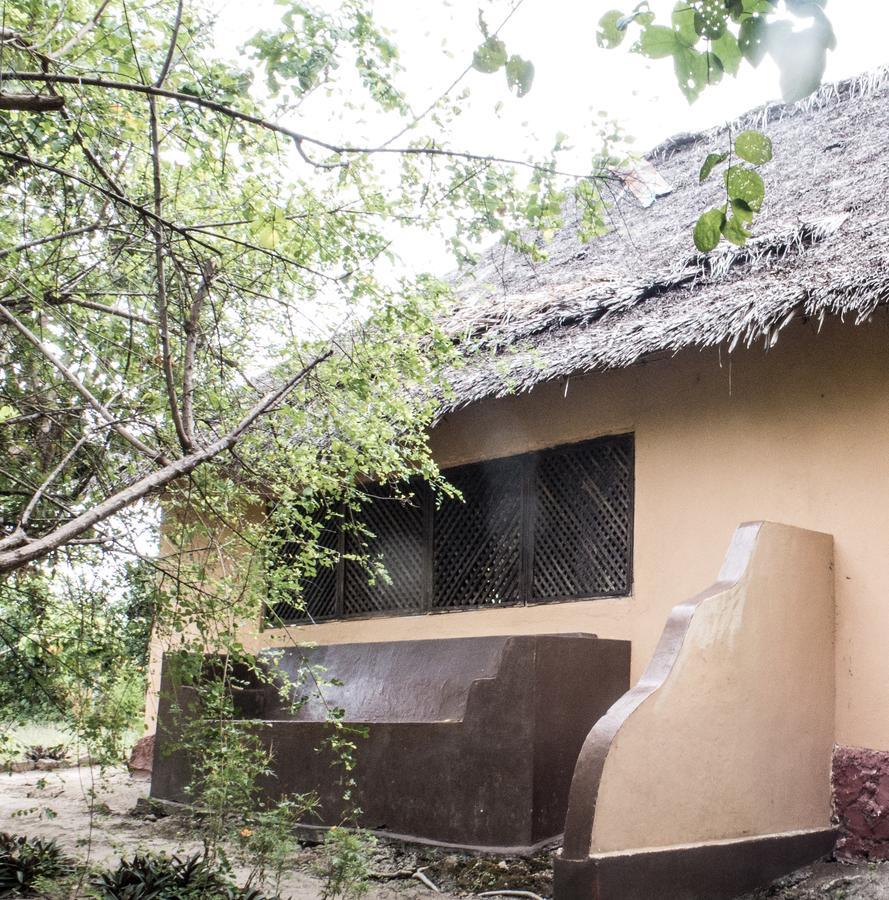 Gecko Nature Lodge Home Of Swahili Divers The Best Dive Center And Famous Gecko Restaurant Verani Eksteriør bilde