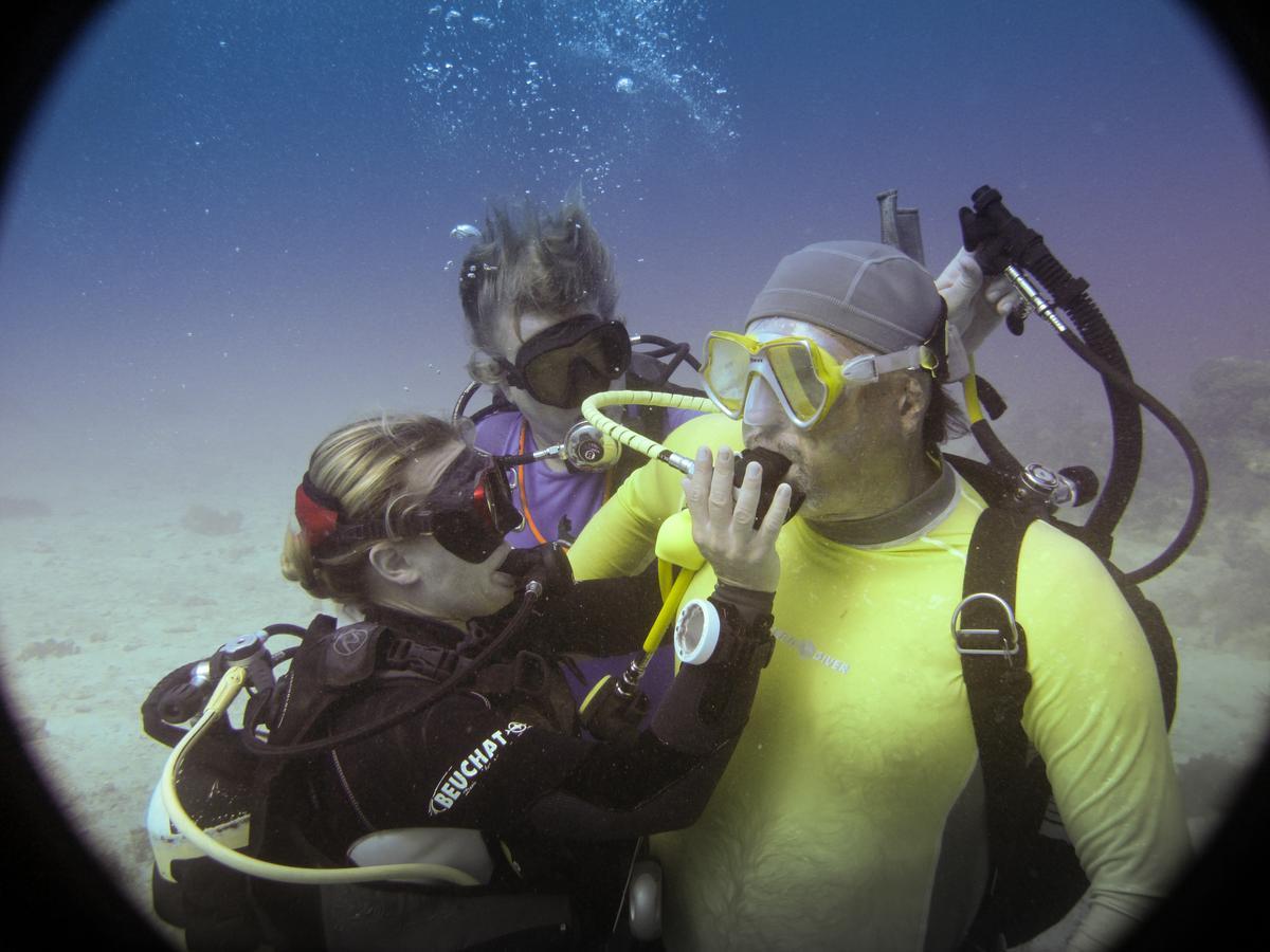 Gecko Nature Lodge Home Of Swahili Divers The Best Dive Center And Famous Gecko Restaurant Verani Eksteriør bilde