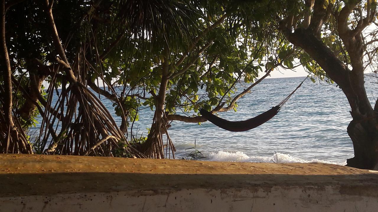 Gecko Nature Lodge Home Of Swahili Divers The Best Dive Center And Famous Gecko Restaurant Verani Eksteriør bilde