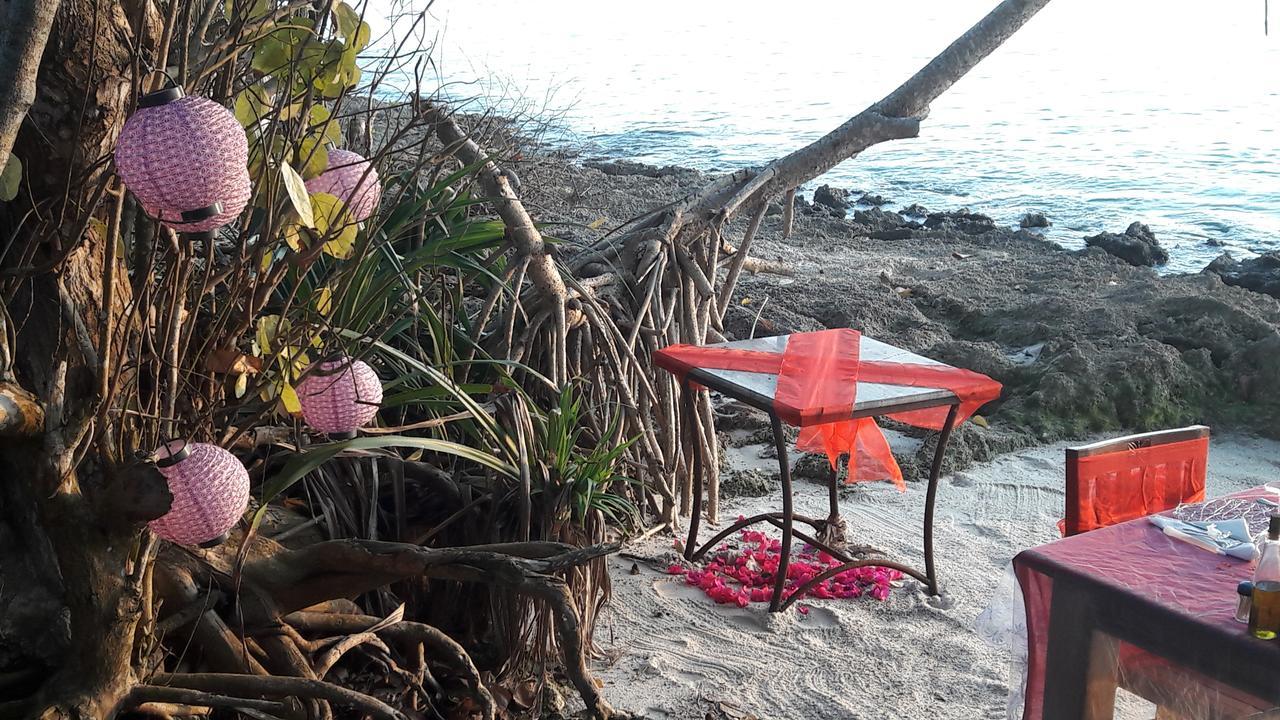Gecko Nature Lodge Home Of Swahili Divers The Best Dive Center And Famous Gecko Restaurant Verani Eksteriør bilde