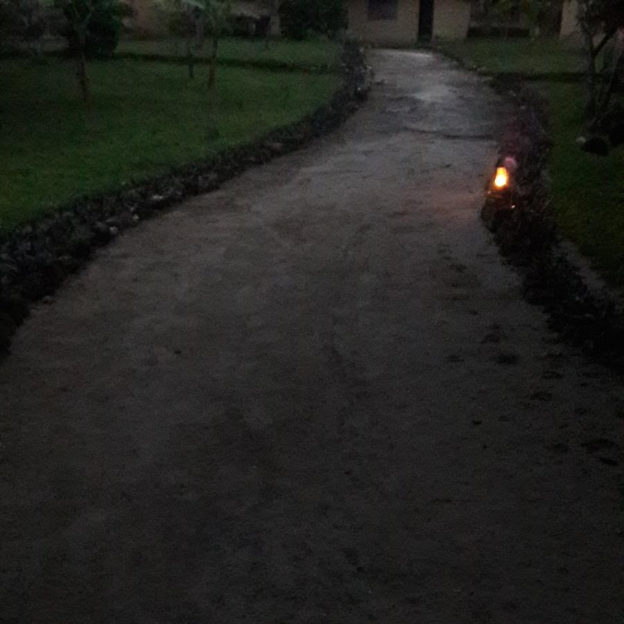 Gecko Nature Lodge Home Of Swahili Divers The Best Dive Center And Famous Gecko Restaurant Verani Eksteriør bilde