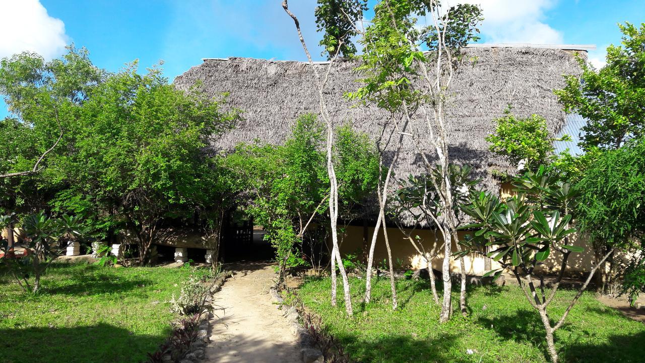 Gecko Nature Lodge Home Of Swahili Divers The Best Dive Center And Famous Gecko Restaurant Verani Eksteriør bilde