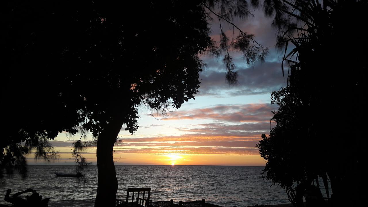 Gecko Nature Lodge Home Of Swahili Divers The Best Dive Center And Famous Gecko Restaurant Verani Eksteriør bilde