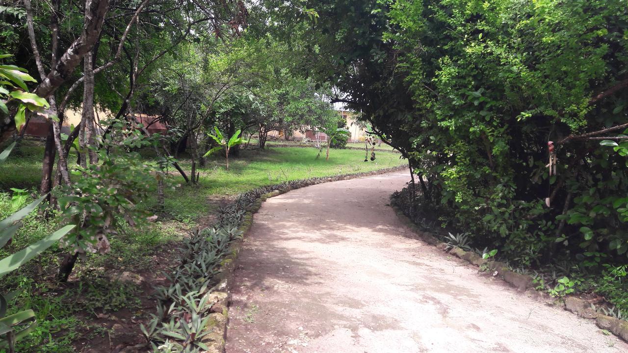 Gecko Nature Lodge Home Of Swahili Divers The Best Dive Center And Famous Gecko Restaurant Verani Eksteriør bilde