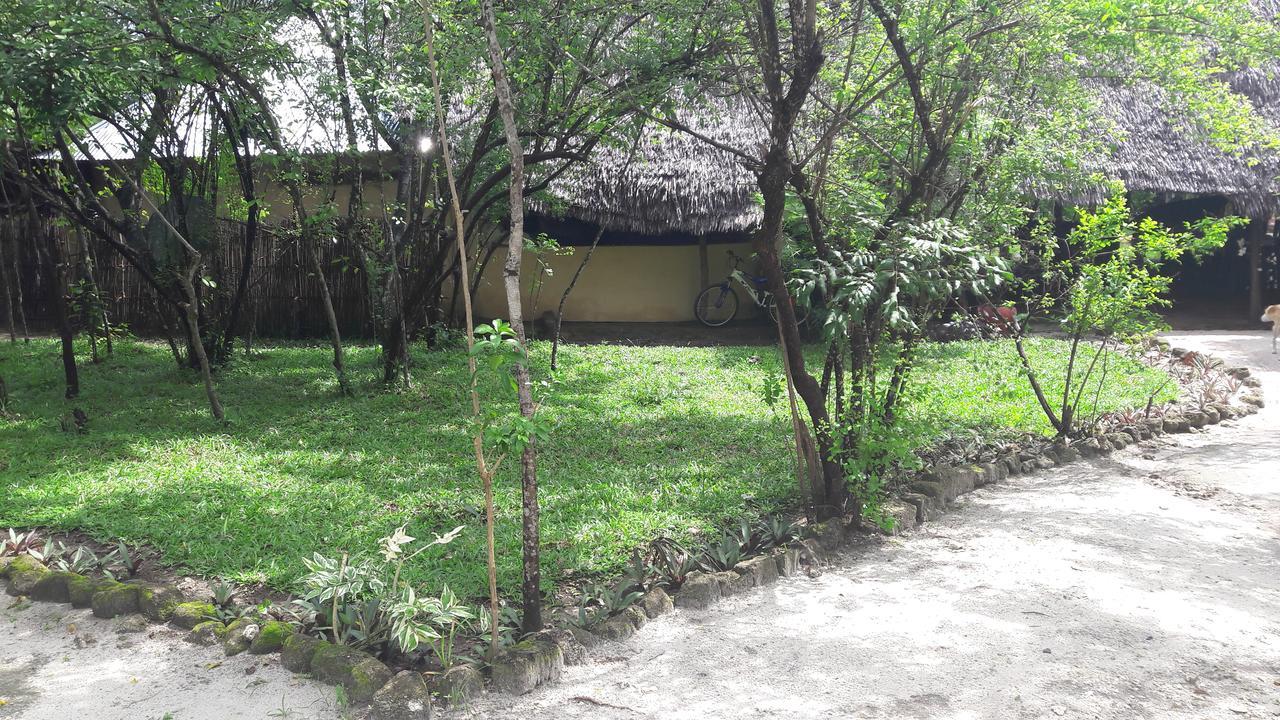 Gecko Nature Lodge Home Of Swahili Divers The Best Dive Center And Famous Gecko Restaurant Verani Eksteriør bilde