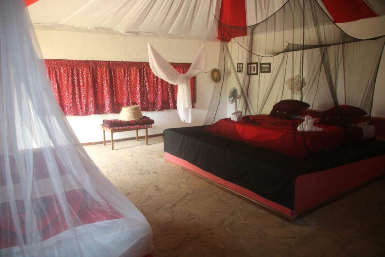 Gecko Nature Lodge Home Of Swahili Divers The Best Dive Center And Famous Gecko Restaurant Verani Eksteriør bilde